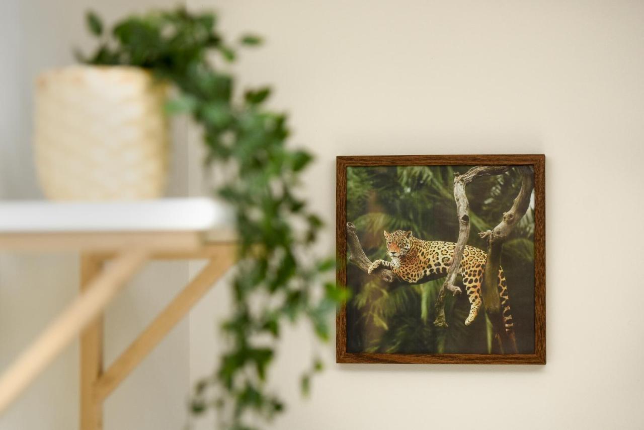 Plants Attic Studio - Best Location - Old Town 부쿠레슈티 외부 사진